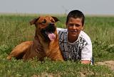 ENFANT ET CHIEN 367